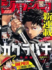风与木之诗同人再创作观察封面